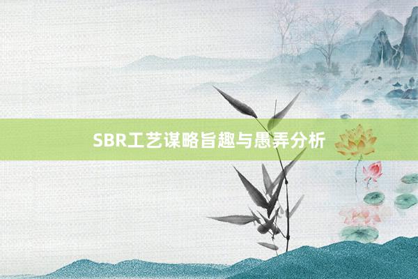 SBR工艺谋略旨趣与愚弄分析