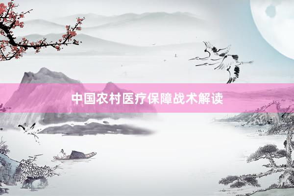 中国农村医疗保障战术解读