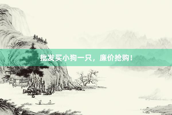 批发买小狗一只，廉价抢购！