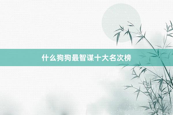 什么狗狗最智谋十大名次榜