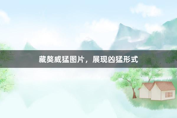 藏獒威猛图片,展现凶猛形式