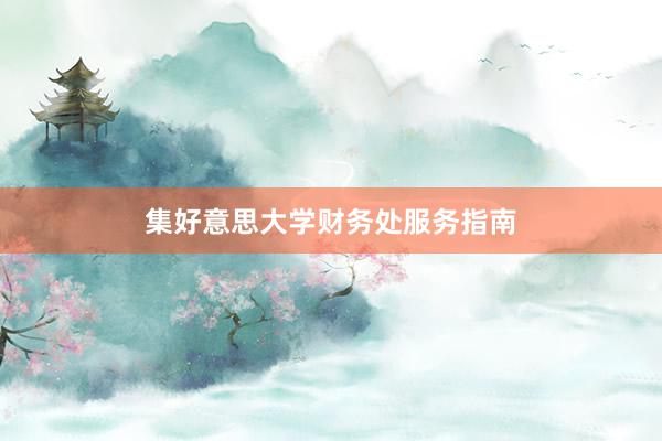 集好意思大学财务处服务指南