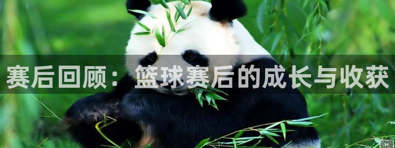 emc体育怎么样:赛后回顾:篮球赛后的成长与收获