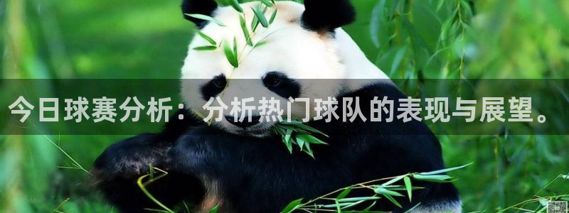 emc易贝体育怎么样:今日球赛分析:分析热门球队的表现与展望